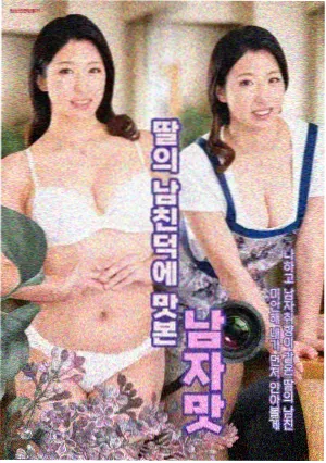 合规提示与分类边界示意